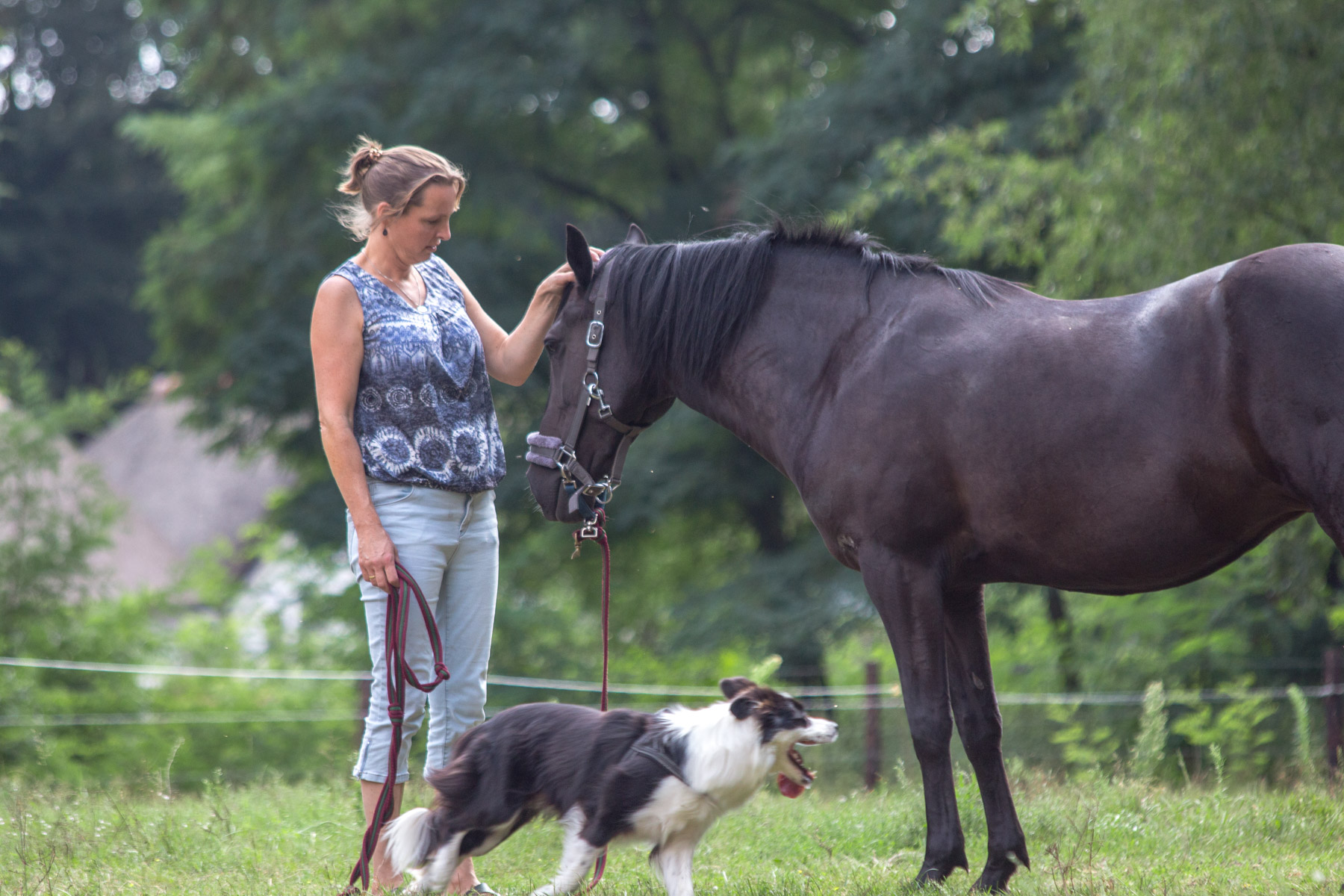 Carola met paard