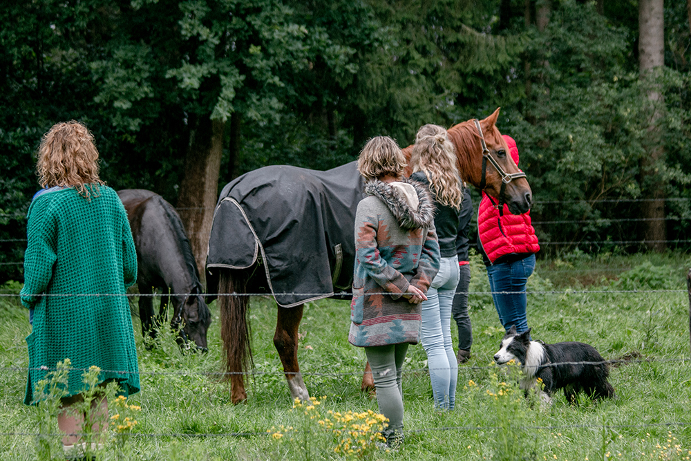 TEAMBUILDING | samen buiten leren