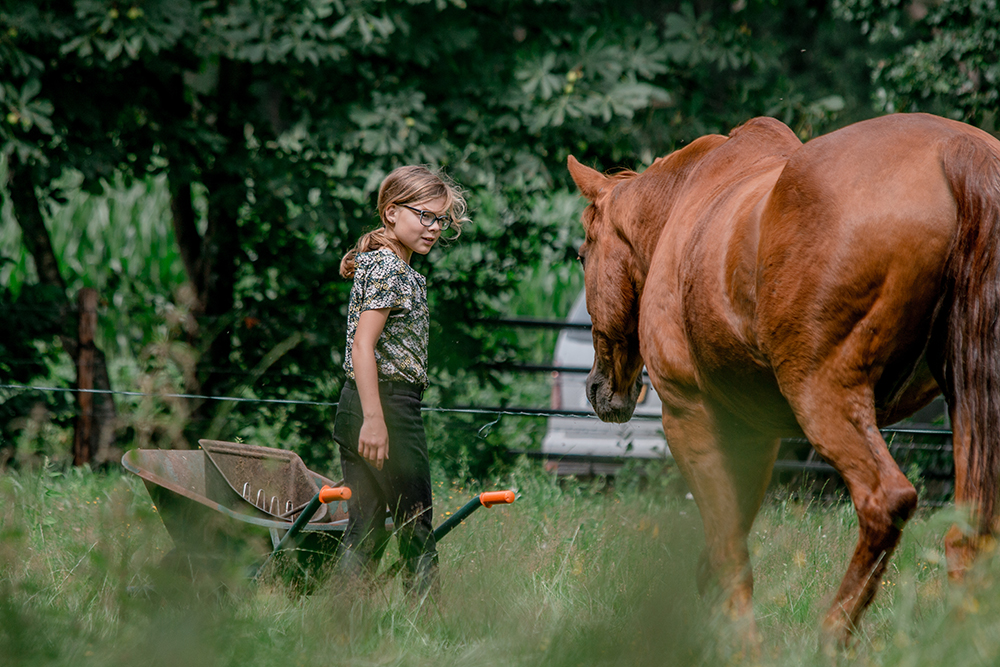 paardenplezier_afbeelding