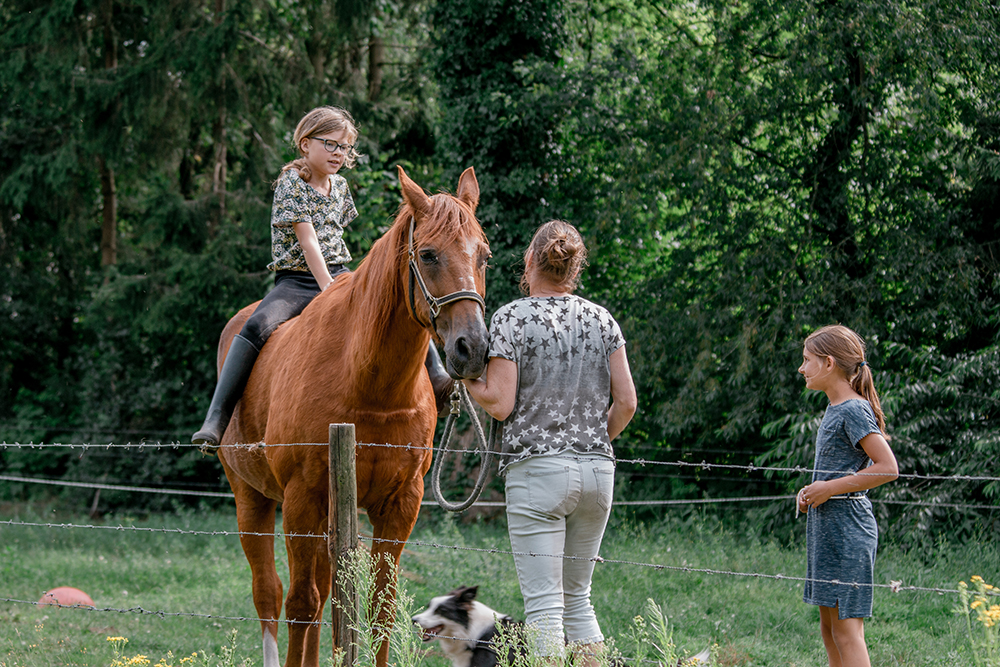 paardenplezier_afbeelding_2