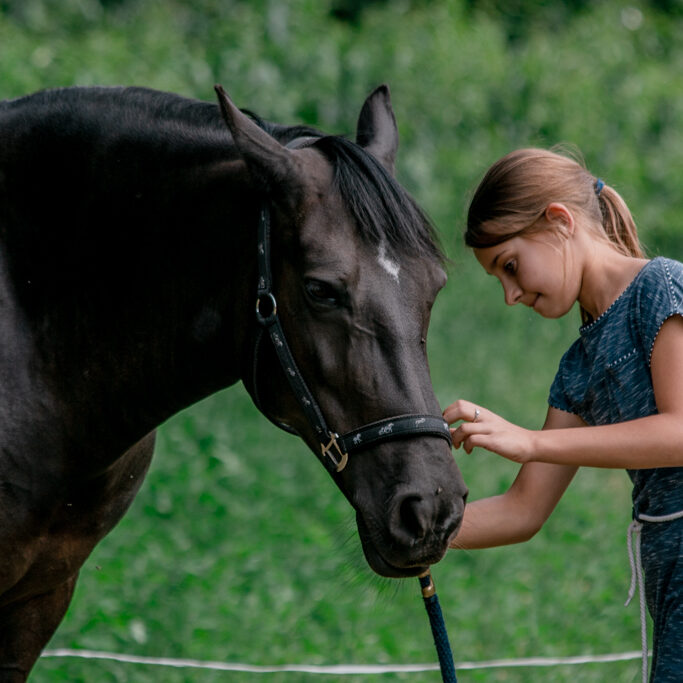 Meisje met paard