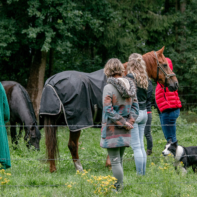 TEAMBUILDING | samen buiten leren